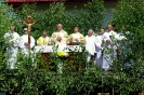 Boże Ciało 2014_29