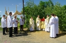 Boże Ciało 2015_17