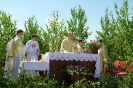 Boże Ciało 2015_33
