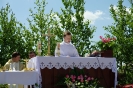 Boże Ciało 2015_39