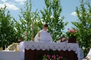 Boże Ciało 2015_41