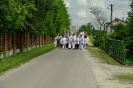 Boże Ciało 2016_15