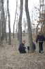 Wycinka drzew_37