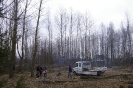 Wycinka drzew_40