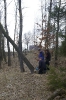 Wycinka drzew_41