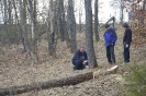 Wycinka drzew_42