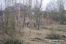 Wycinka drzew_49