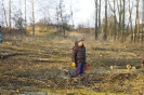 Wycinka drzew_61