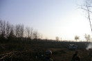 Wycinka drzew_67